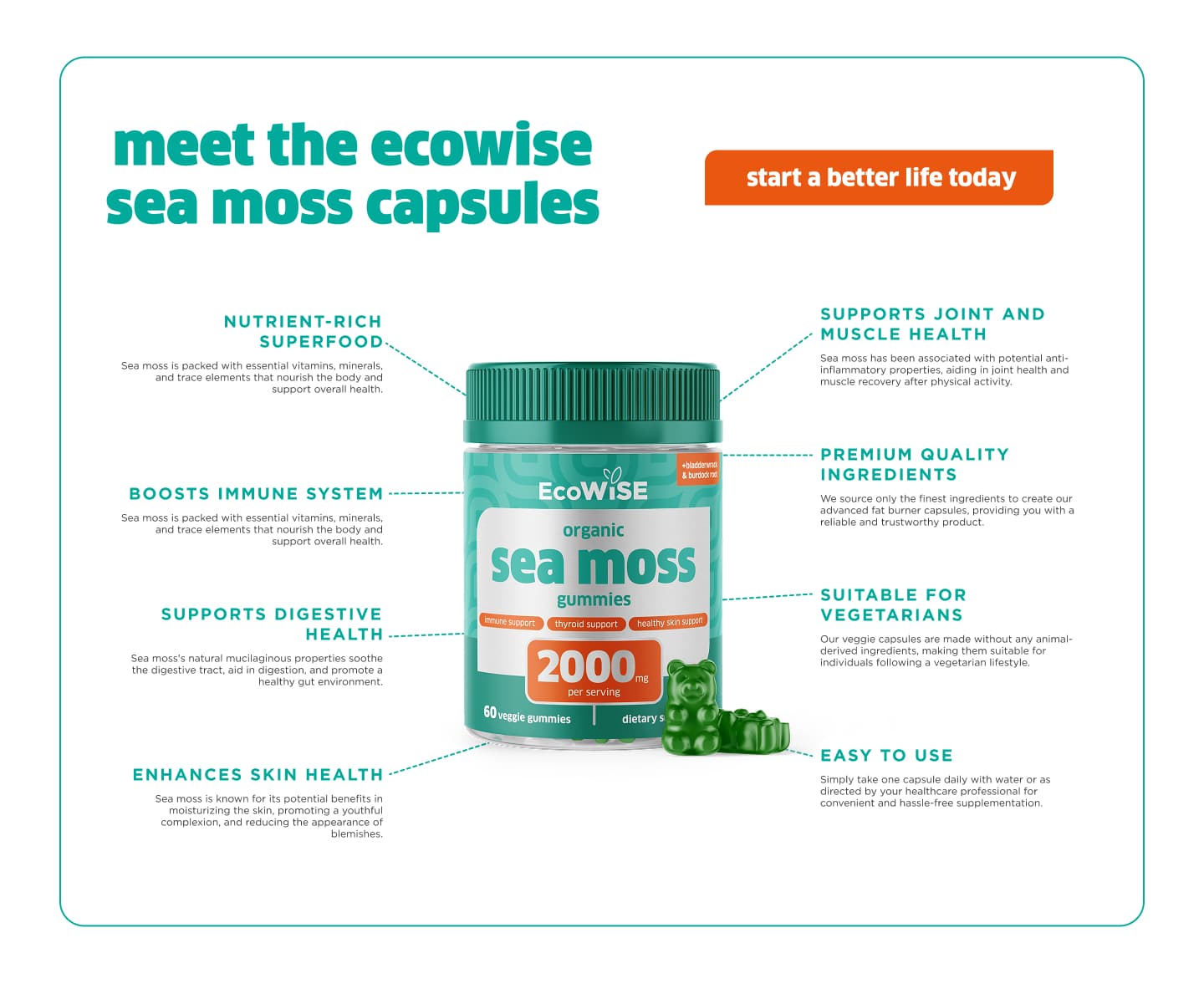 Ecowise graphic design